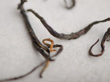 Su Hu Shai Hong from 300-year-old trees, AAA, 2025