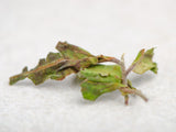 Suhu Bai Cha Organic, АА, 2023