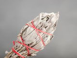 Szałwia kalifornijska biała na łodydze, 12 cm, 15-20 g.