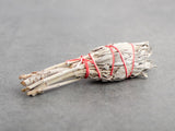 Szałwia kalifornijska biała na łodydze, 12 cm, 15-20 g.