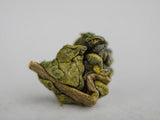 Burmese Luan Ji, AAA, autumn 2025