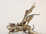 Lao Bai Mu Dan (Stara Biała Piwonia), AAA, 2015