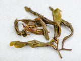 Sheng Pu Erh Gu Shu Mao Cha Da Ye, AAA, 2023
