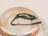 Sheng Pu Erh Mao Cha Zhang Xiang (Aromat kamfory), Guo Qu, AA, 2008