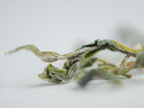 Green tea Handmade, Tkibuli, Georgia, AA, 2025